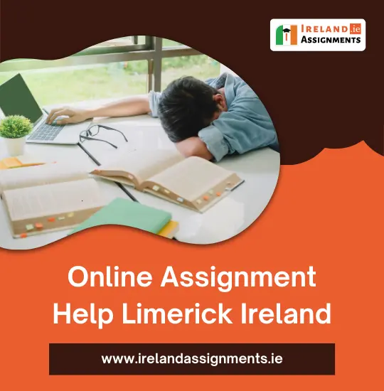 assignments help ireland