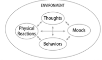 Theory, Skills, and Evidence-Based Practice for Anxiety Disorder: A Comprehensive Analysis